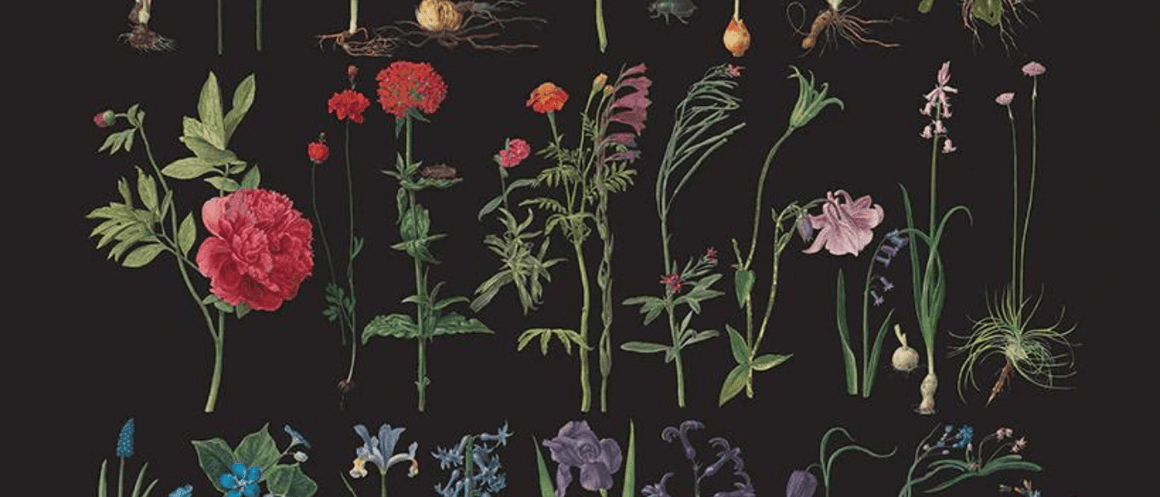 Annie Sloan Decoupage Papers