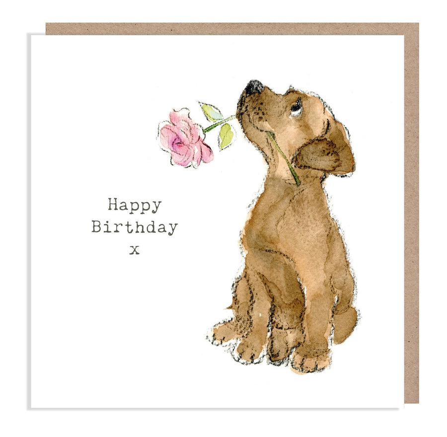 Cute Dog Birthday Card - Chocolate Lab With Pink Rose