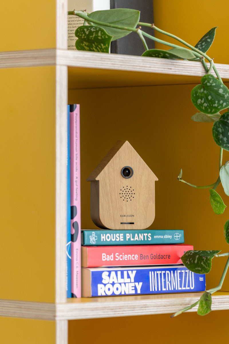 Sound Box Modern Cuckoo – Light Wood