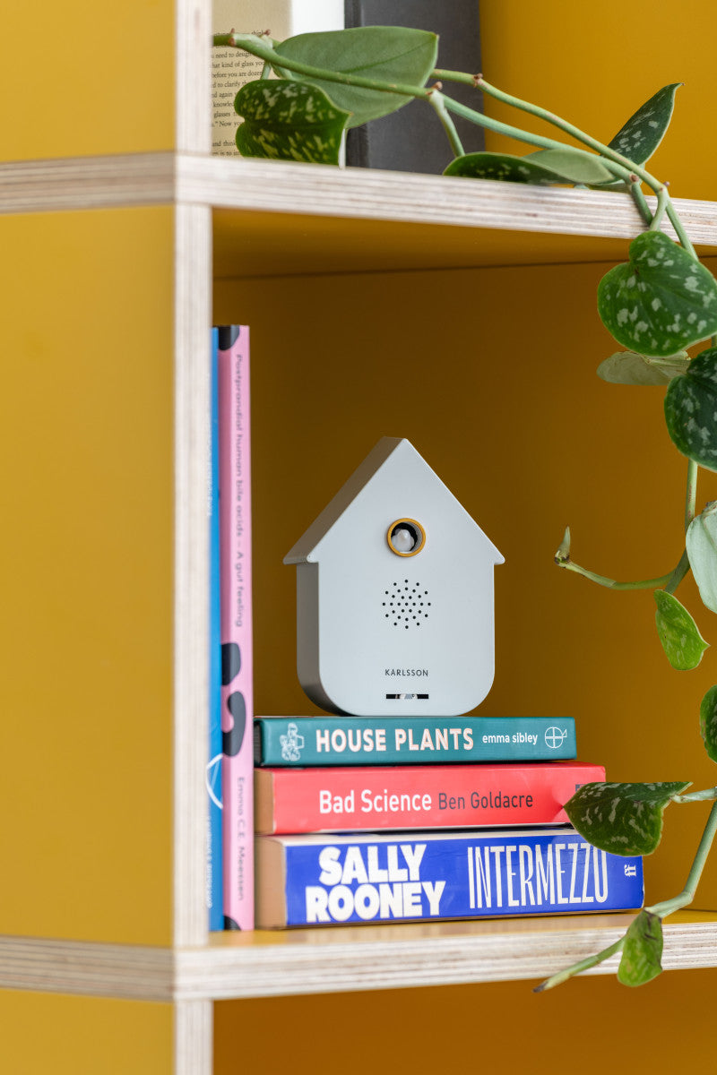 Sound Box Modern Cuckoo – White