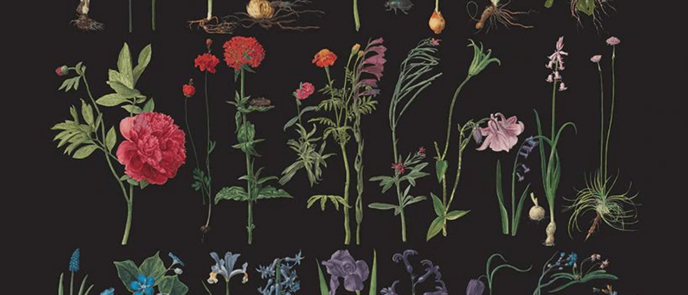 Annie Sloan Decoupage Papers