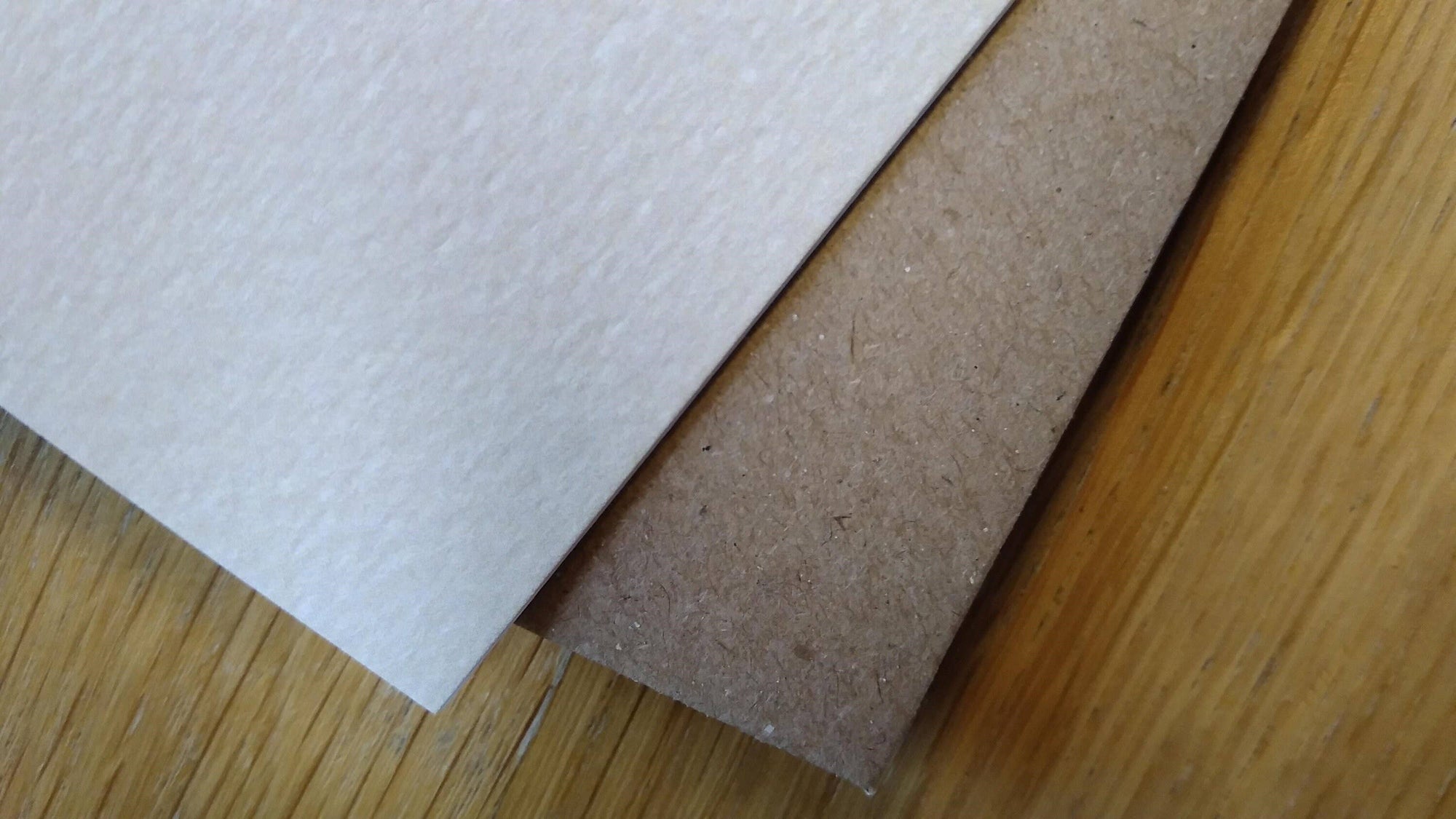 Cute Dog Card - Thank You - Cockapoo With Daisy