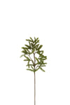 Branch Pinetree