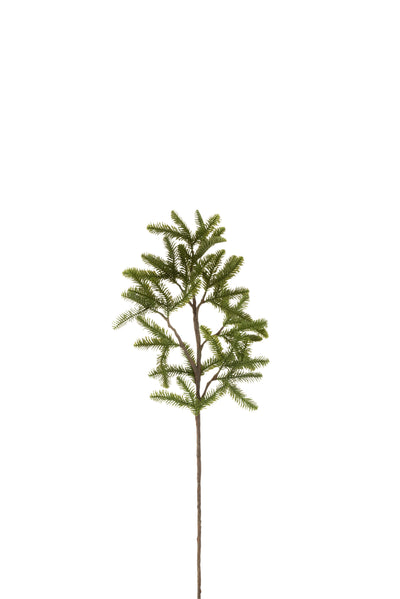Branch Pinetree
