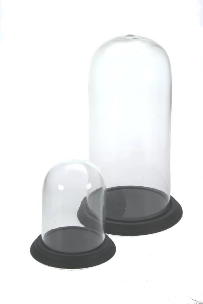 Dome with black base s/2