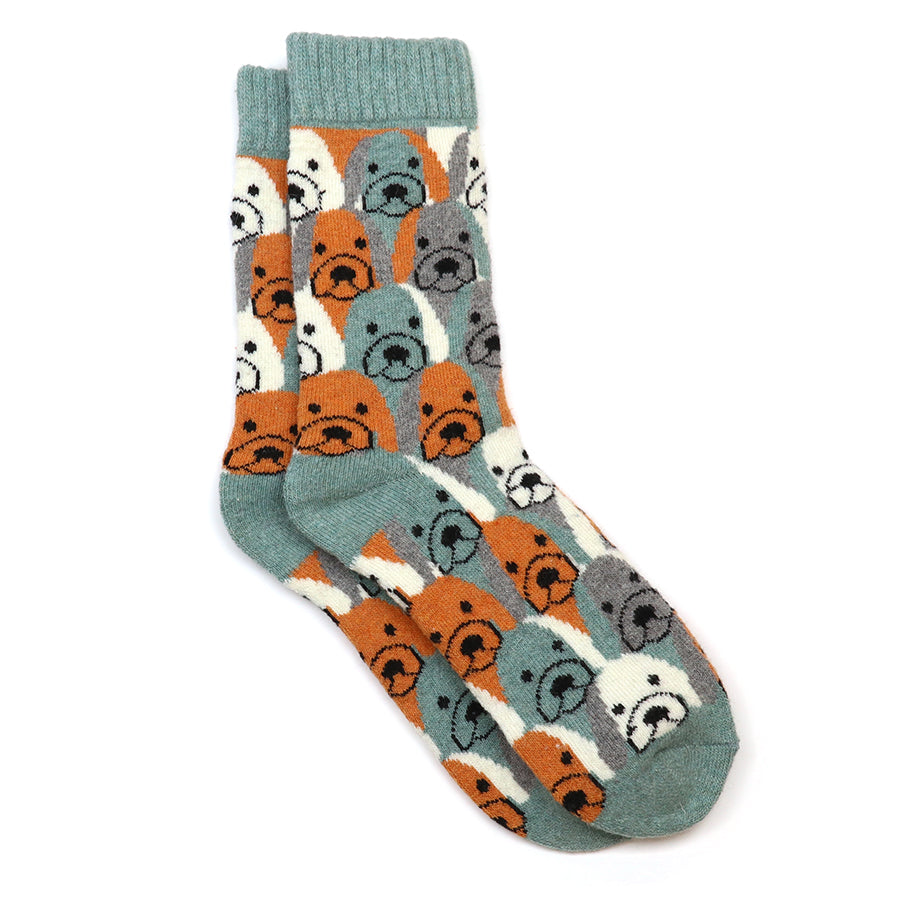 Kit green stripe dog socks duo