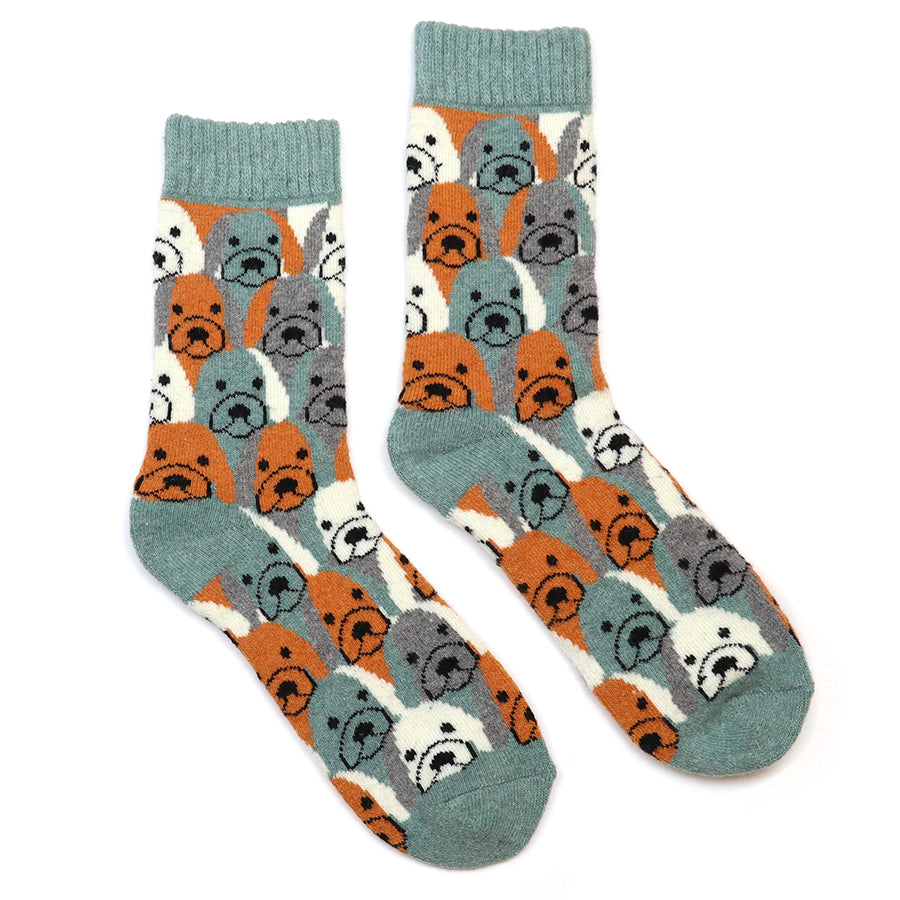 Kit green stripe dog socks duo
