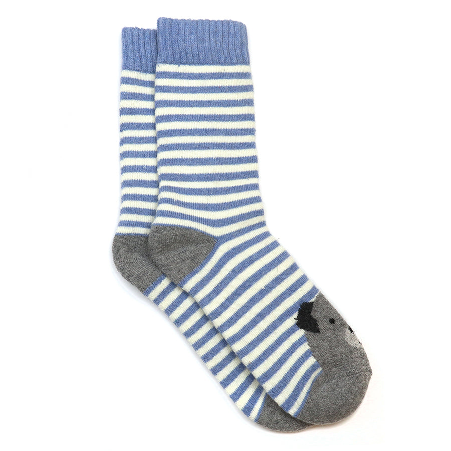 Kit blue stripe dog socks duo