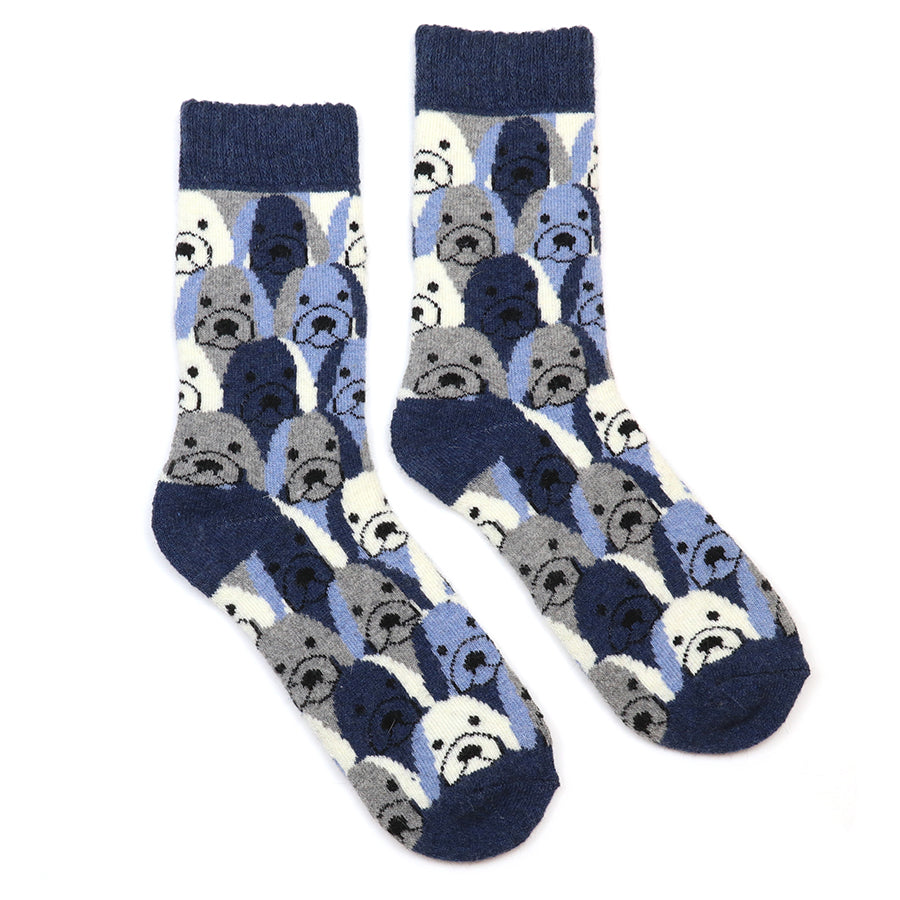 Kit blue stripe dog socks duo
