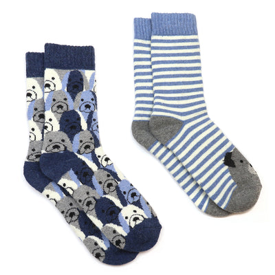 Kit blue stripe dog socks duo