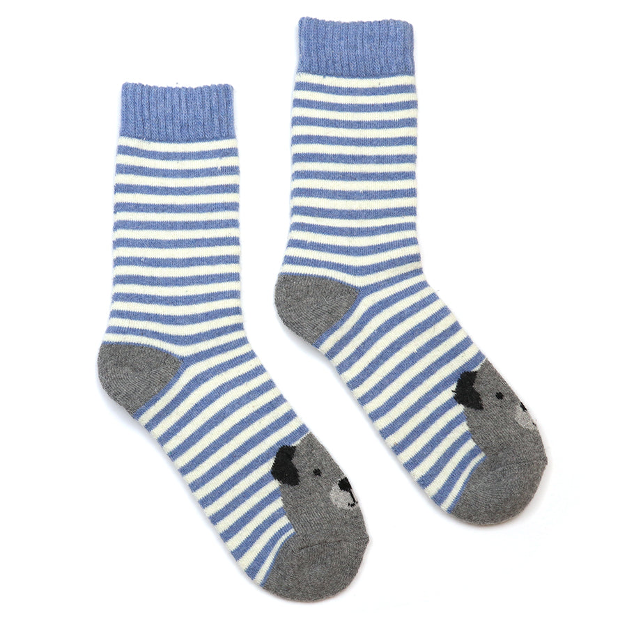 Kit blue stripe dog socks duo