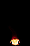 Gnome+Led Textile Red/White