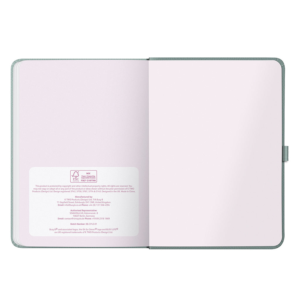 Busy Life Diary 2027