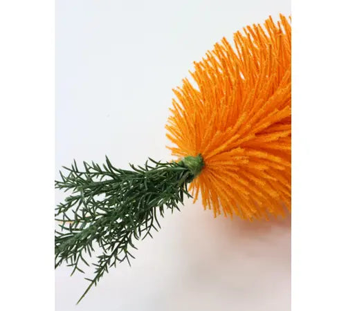 carrot feliz