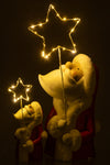 Santa Led Star Resin