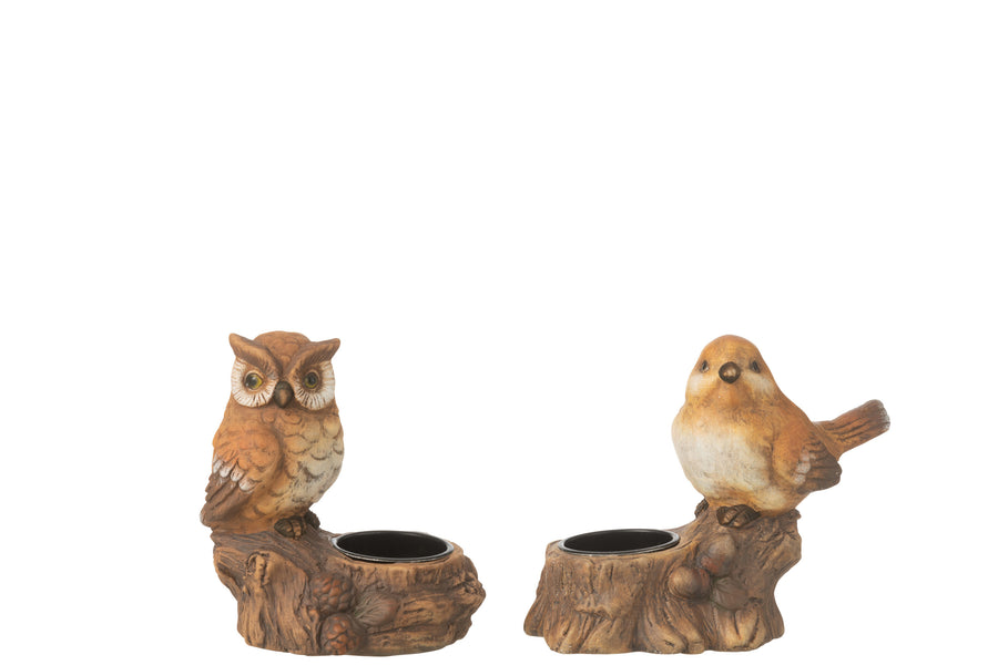 Tealight Holder Bord+Owl Porcelain Brown Assortment Of 2