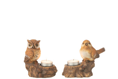 Tealight Holder Bord+Owl Porcelain Brown Assortment Of 2