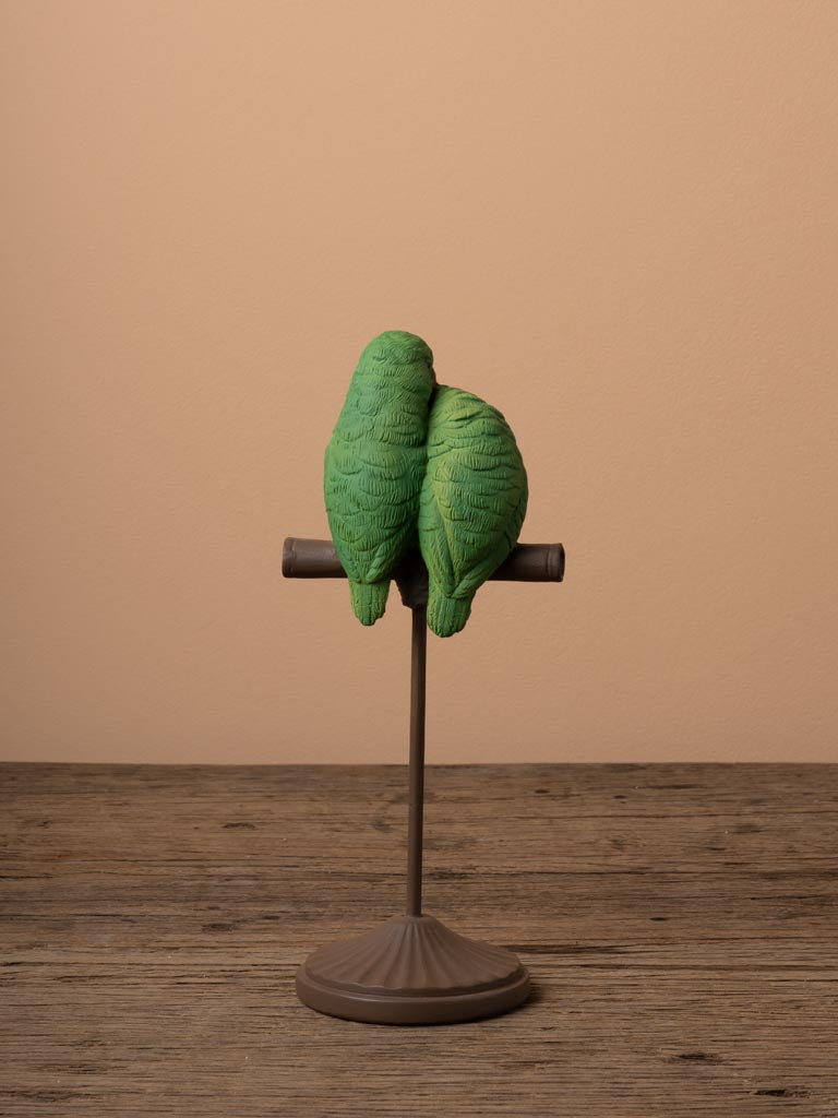 Small red-billed parrots on perch