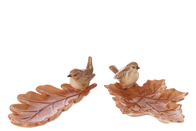 Plate Deco