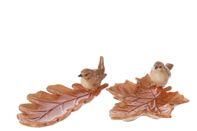 Plate Deco