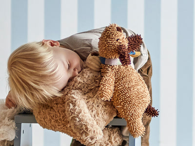 Olfie Teddy Bear