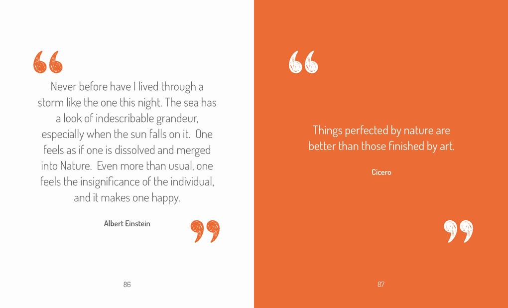 LITTLE BOOK OF JOY (ORANGE HIPPO)