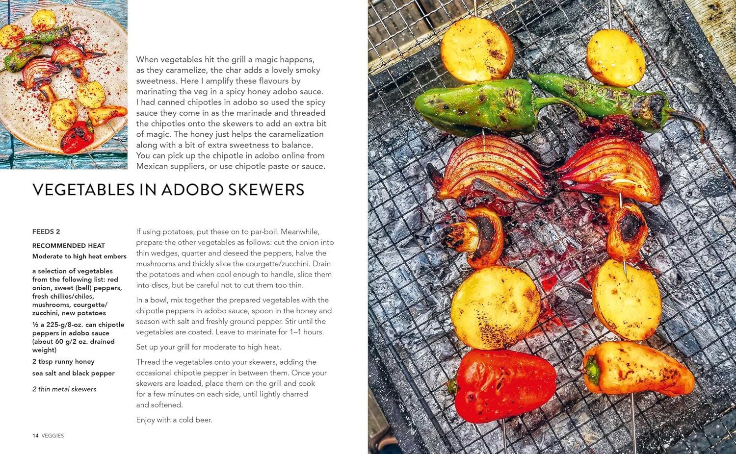 BACKYARD BBQ: DELICIOUS RECIPES FOR OUTDOOR COOKING (HB)
