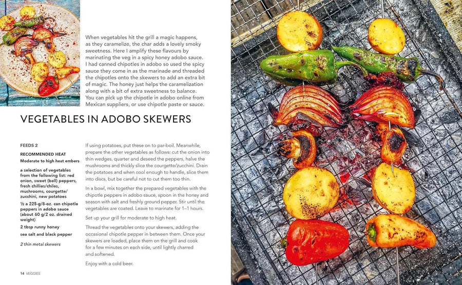 BACKYARD BBQ: DELICIOUS RECIPES FOR OUTDOOR COOKING (HB)