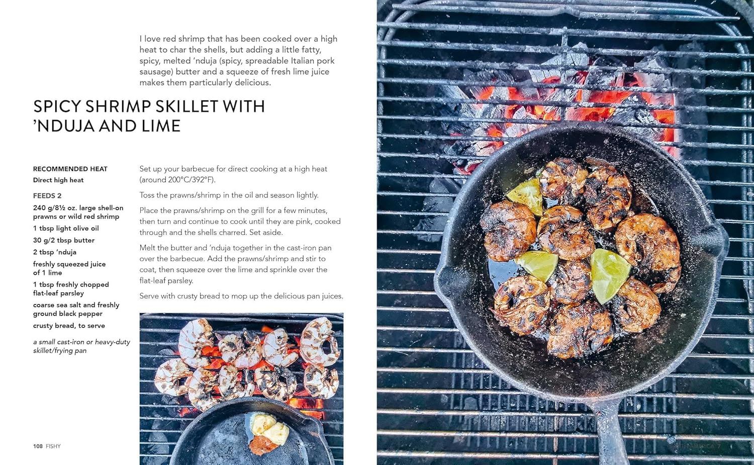 BACKYARD BBQ: DELICIOUS RECIPES FOR OUTDOOR COOKING (HB)