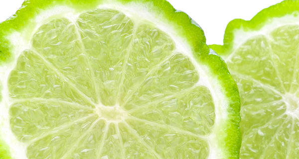 Mountain Sage & Sea Salt Fragrance Diffuser