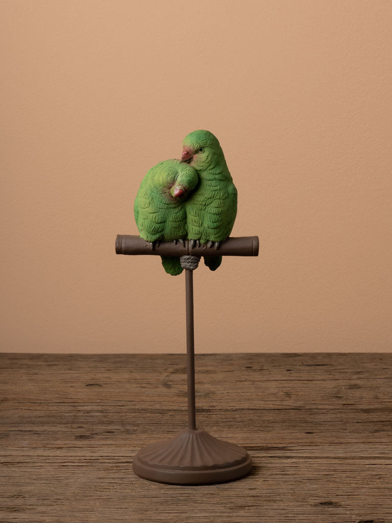 Small red-billed parrots on perch