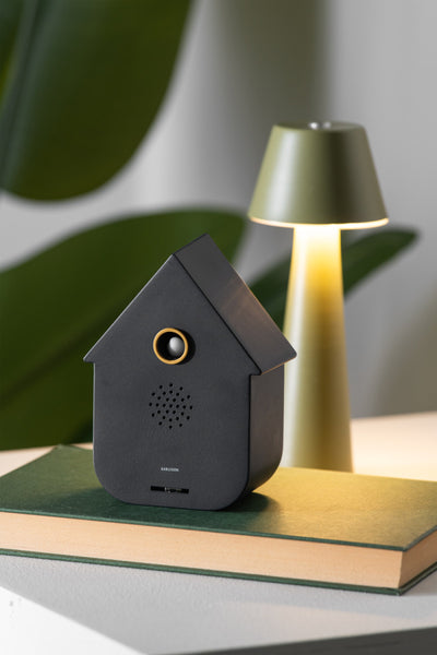 Sound Box Modern Cuckoo – Black