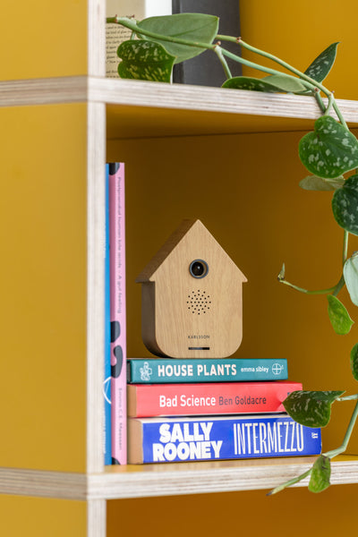 Sound Box Modern Cuckoo – Light Wood