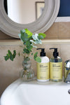 Max Benjamin Lemongrass & Ginger Hand & Body wash & lotion gift set