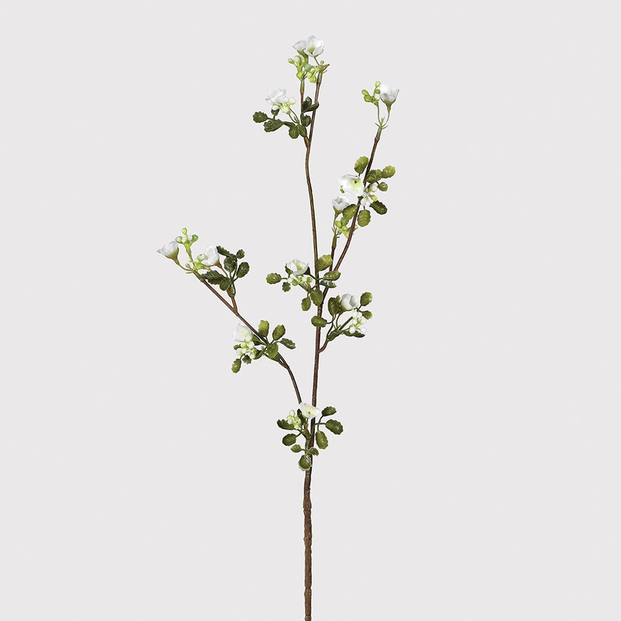 White Wax Flower Stem with Leaves