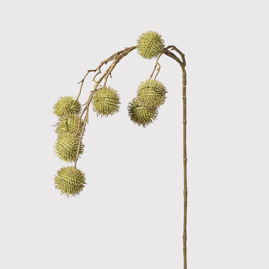Green Echinops Spray