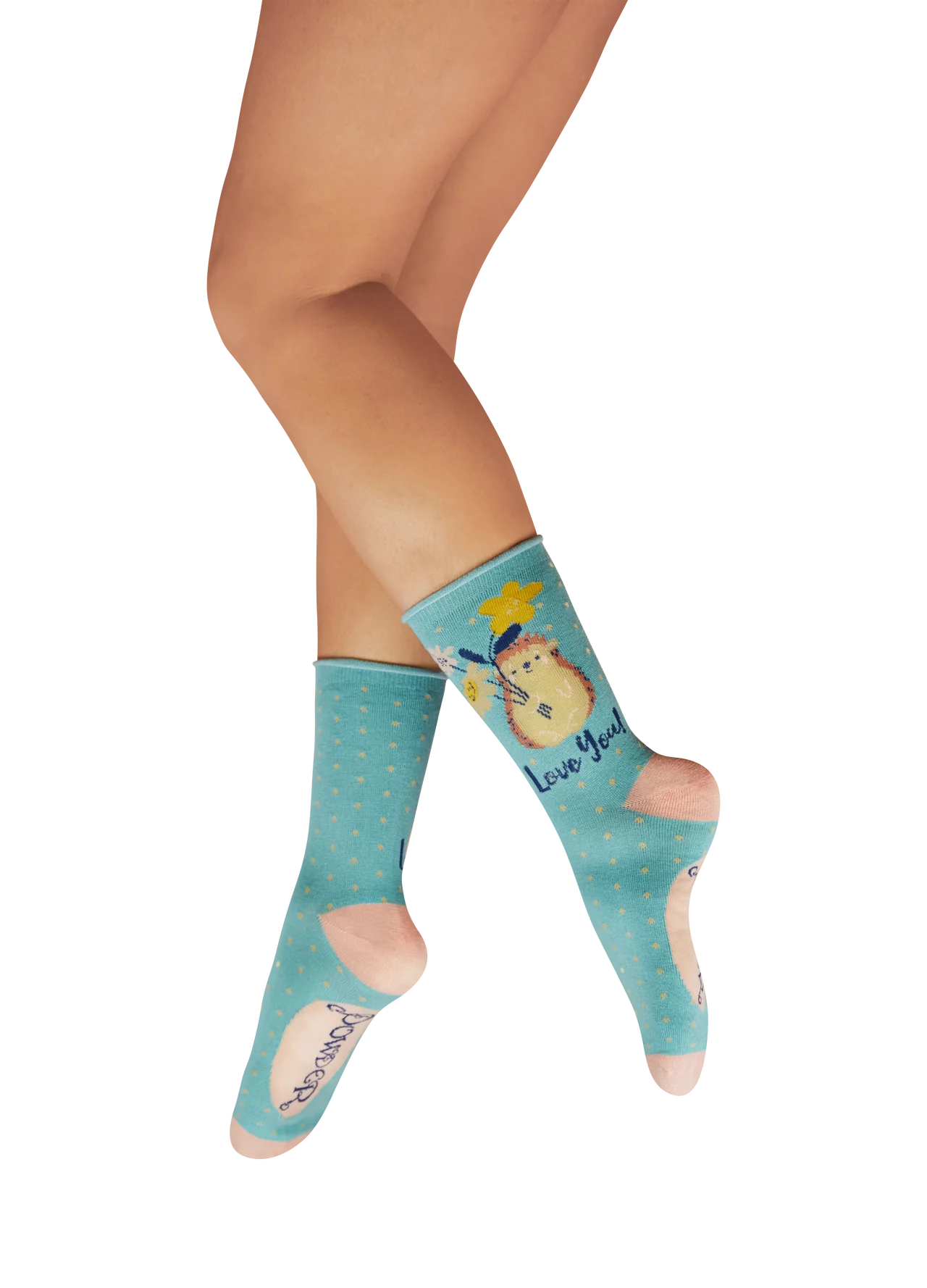 Hedgehog Sharing Love - Aqua