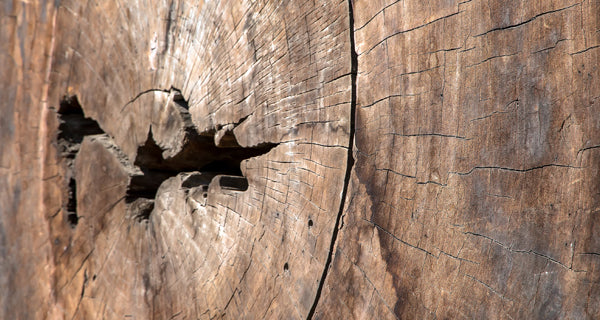 Geranium & Sandalwood Candle