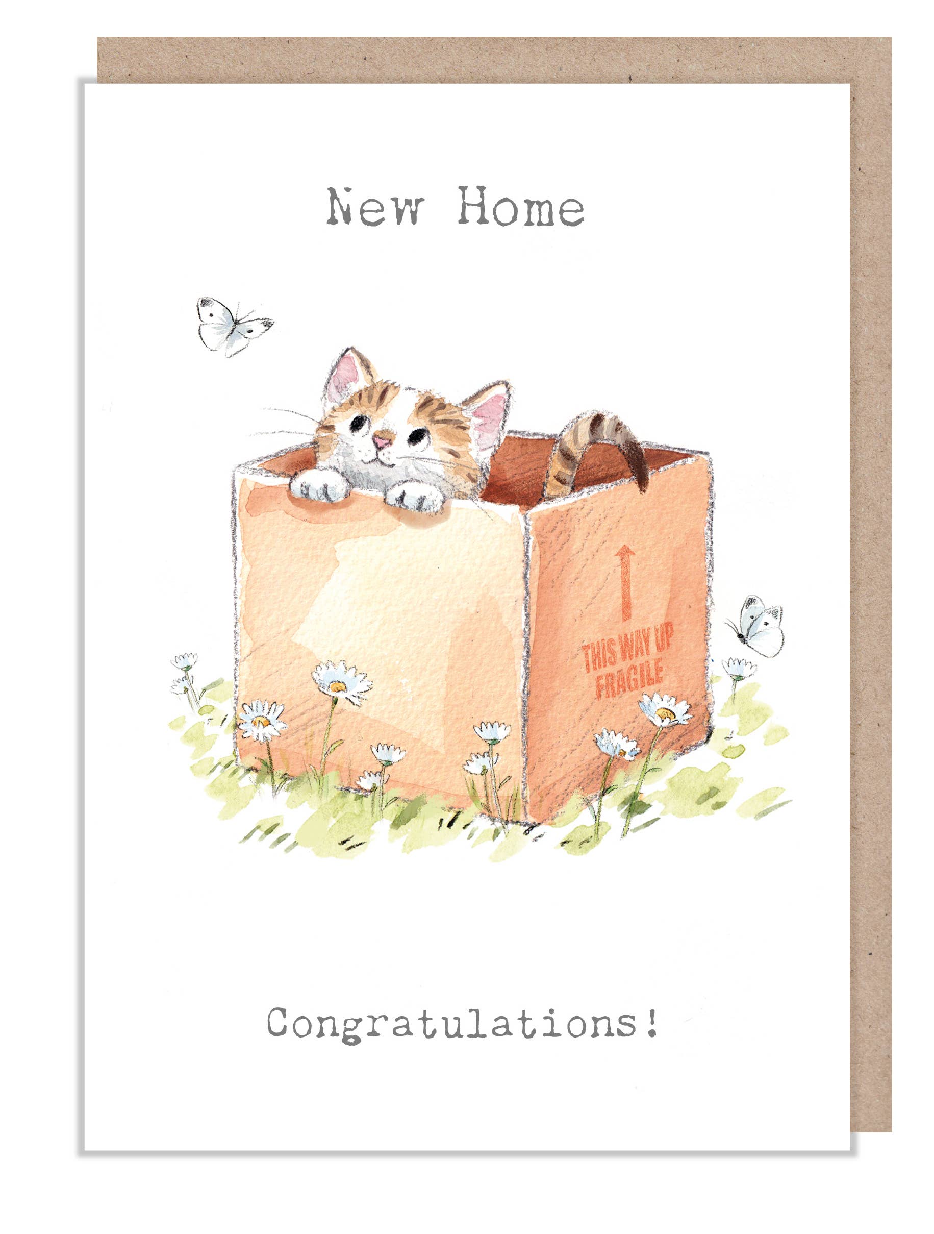 New Home Card - Cat in box - EPP025