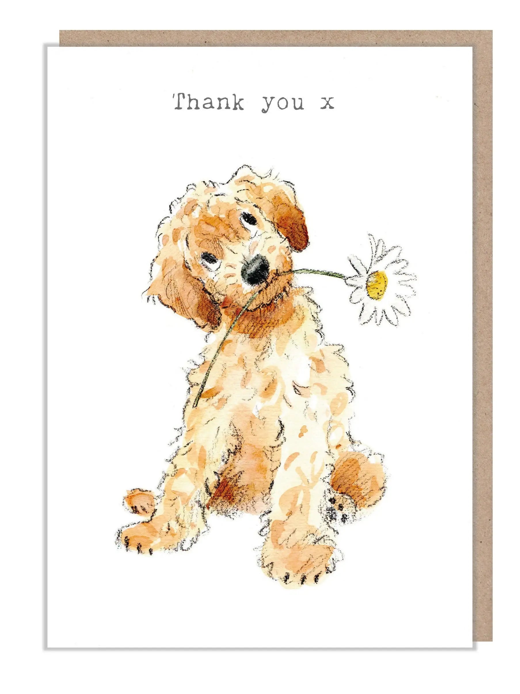 Cute Dog Card - Thank You - Cockapoo With Daisy