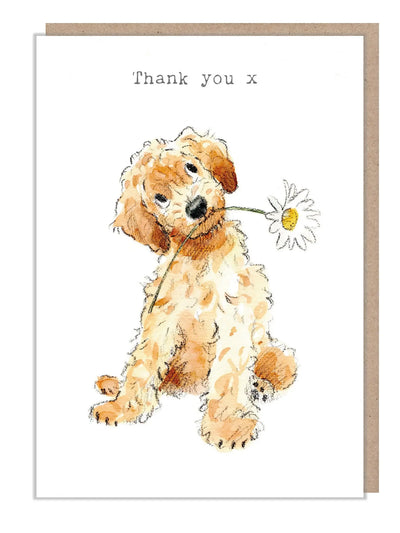 Cute Dog Card - Thank You - Cockapoo With Daisy