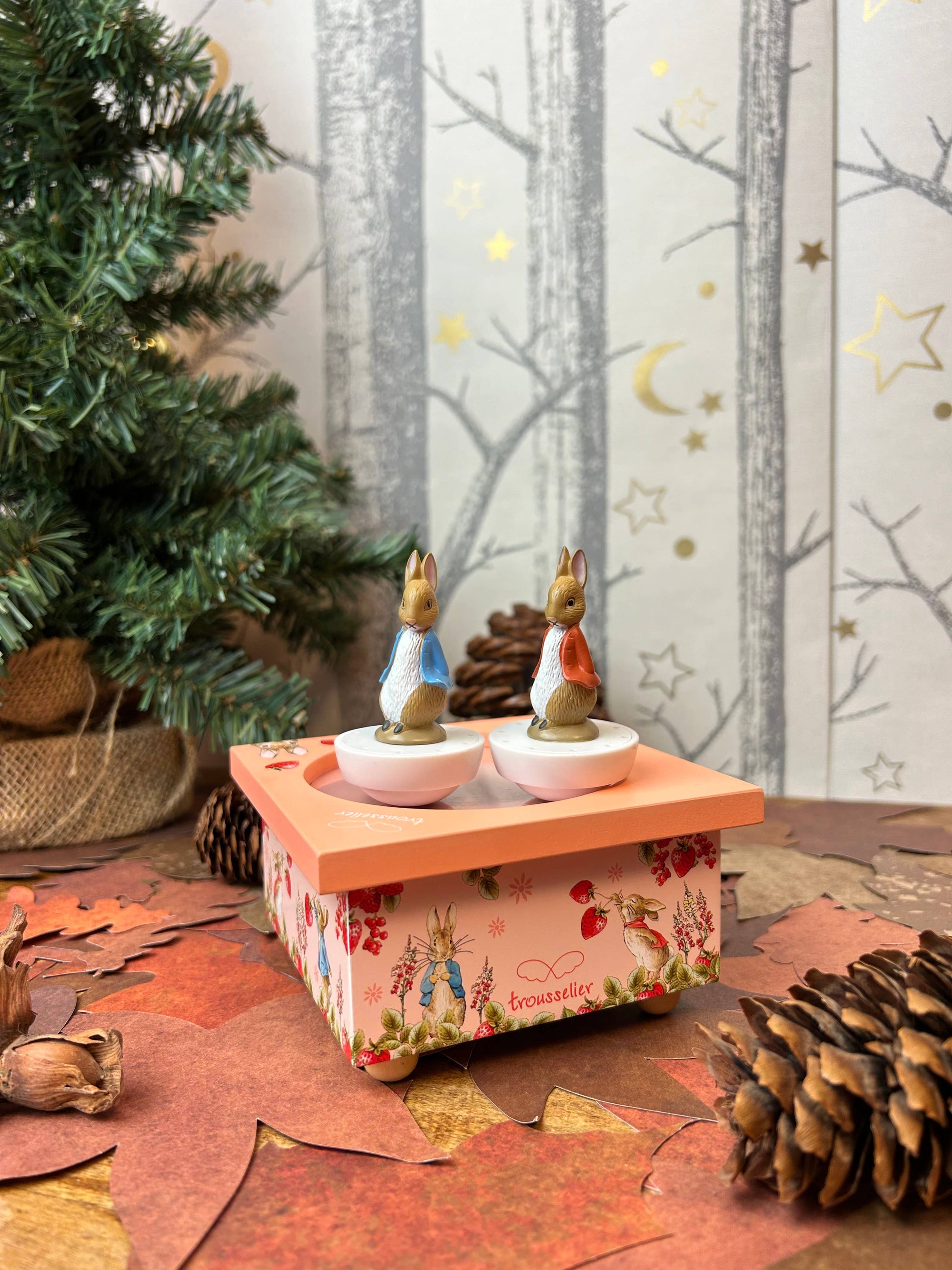 Dancing Peter Rabbit© Music Box Strawberries