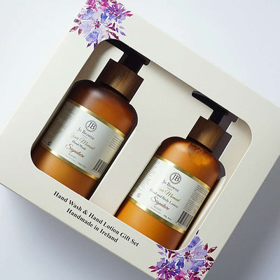 Hand Wash & Hand Lotion Gift Set