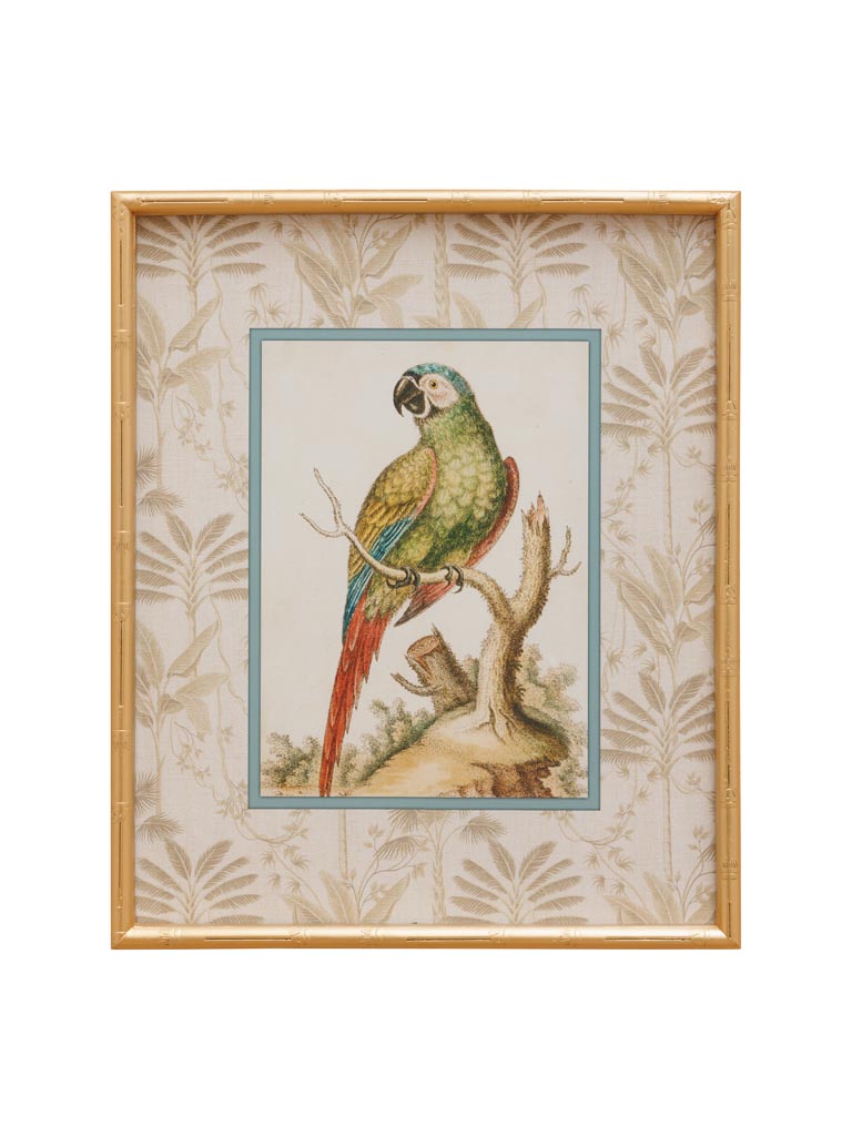 Parrot frame with golden bamboo edge