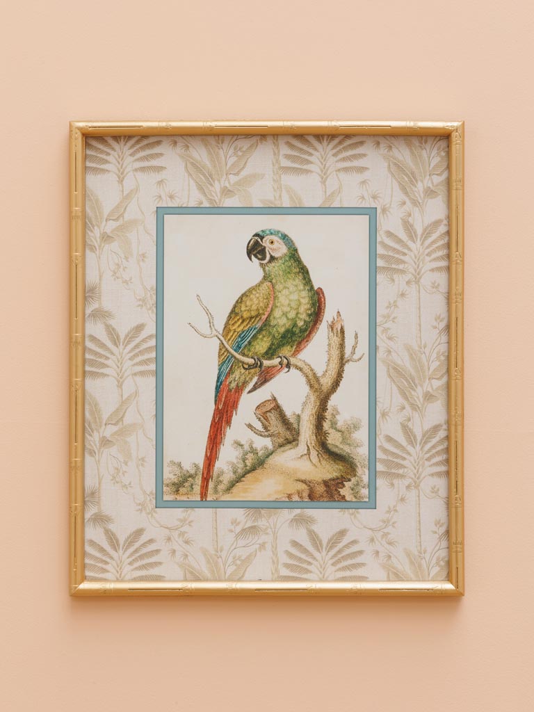Parrot frame with golden bamboo edge