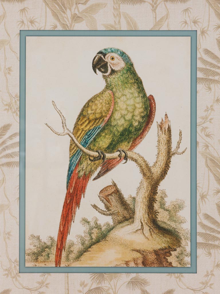 Parrot frame with golden bamboo edge