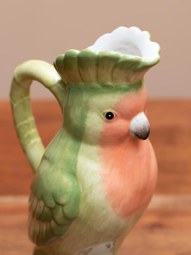 Ceramic parrot pitcher