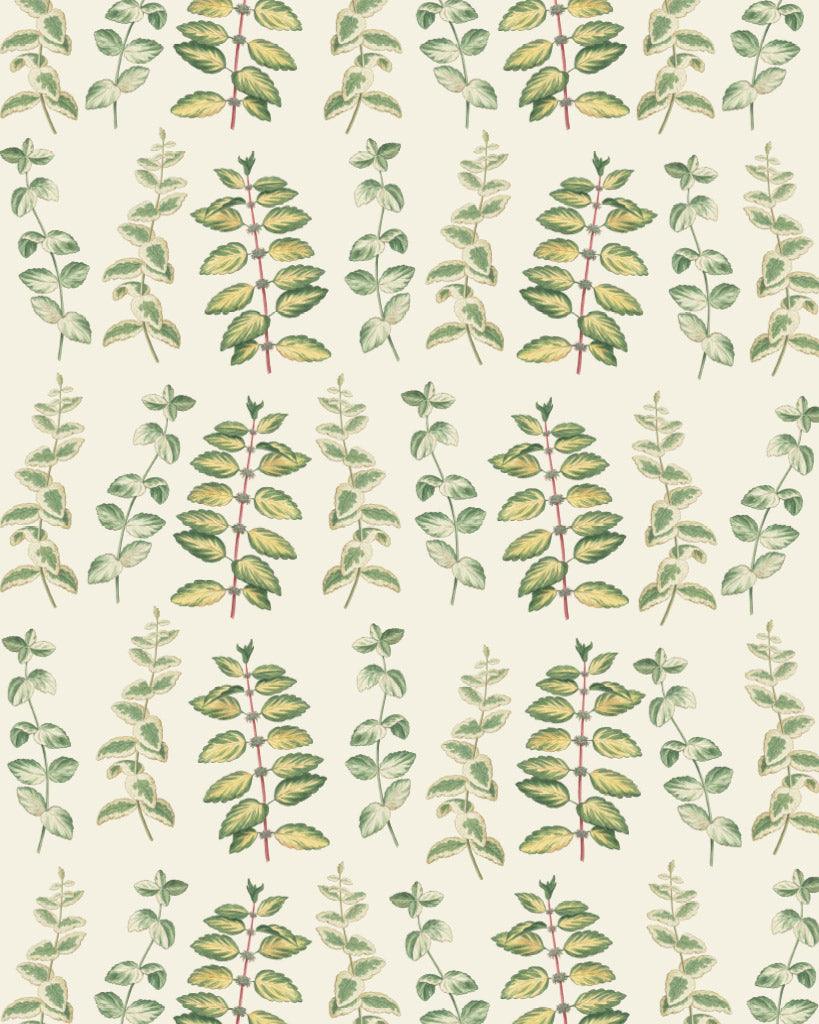 Mint RHS Decoupage Paper - Twenty Six
