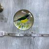 Bird Glass Door Knob - Twenty Six
