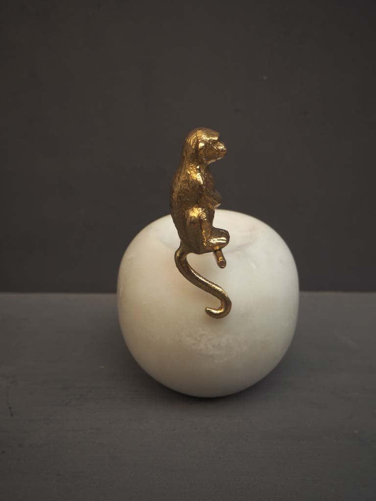 Golden Monkey on Marble Apple - Twenty Six